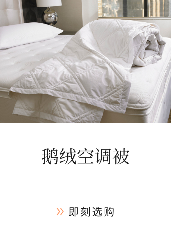 Sheraton Goose Down Blanket